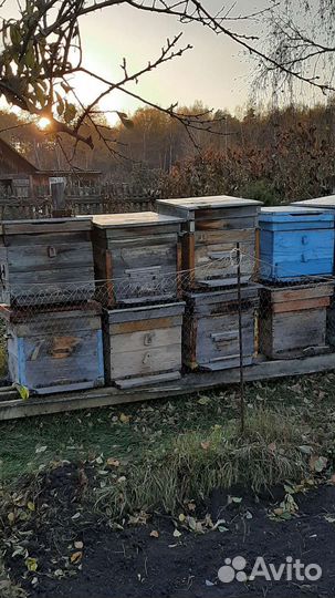 Улей для пчел