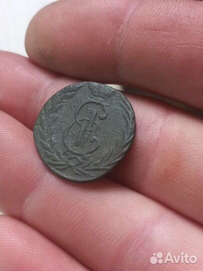 Дентга 1770 года сибирская