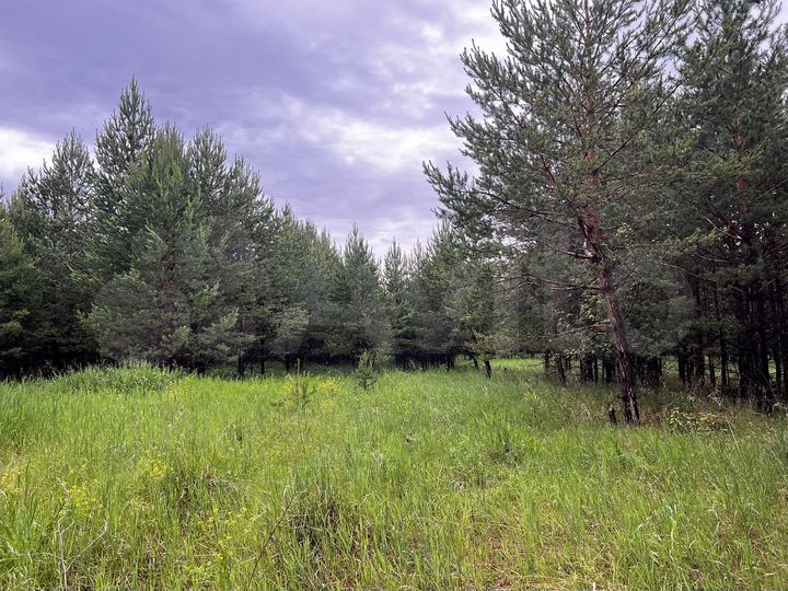 Участок 30 сот. (ИЖС)