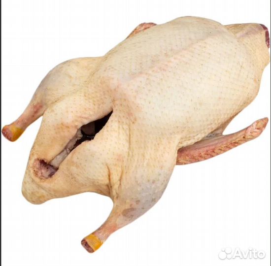 Мясо утки гуся утята 2 месяца 3кг