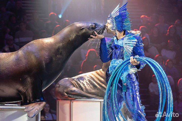 Купить билеты в цирк Вернадского