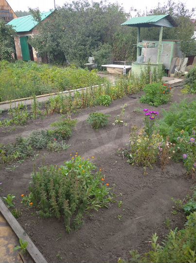 Дача 51 м² на участке 5 сот.