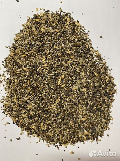 Корм для птиц