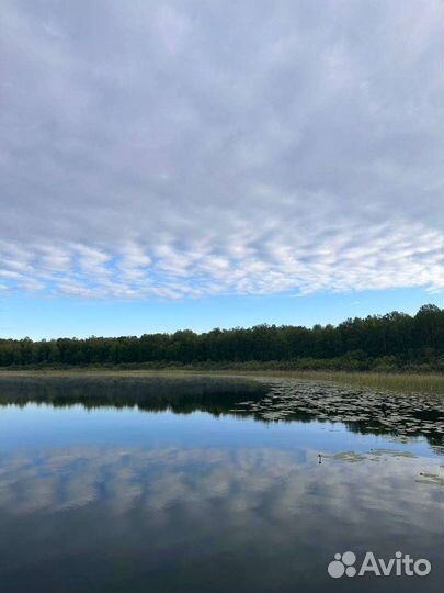 Отдых на озере Данилово