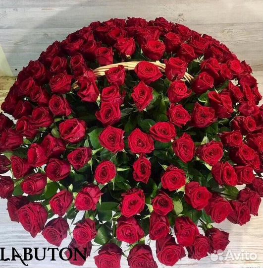 Букет из 101 розы