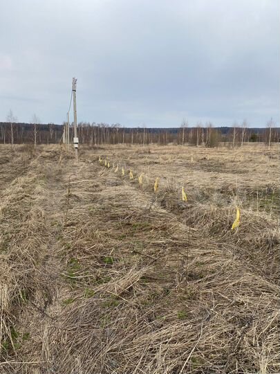 Участок 10 сот. (СНТ, ДНП)