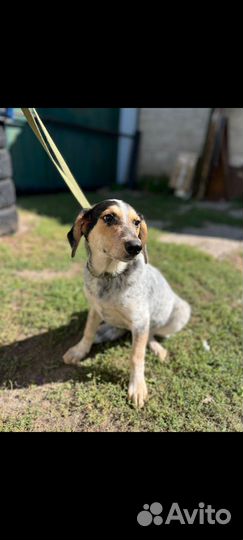 Девчуля 5 месяцев