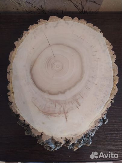 Спилы дерева