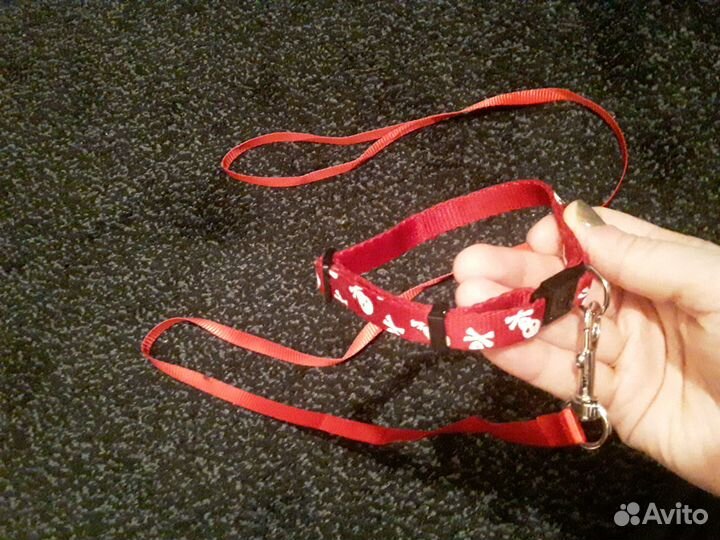 Новый поводок и ошейник антиудавка для выгула
