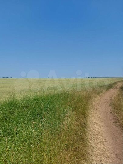 Участок 9,68 га (СНТ, ДНП)