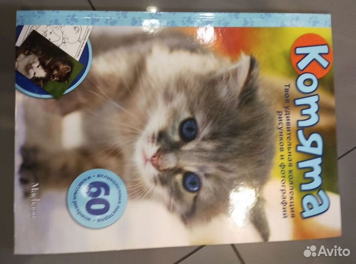 Детские книги для любителей котиков