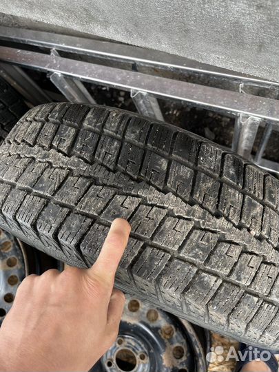 Zeetex Z-Ice 1001-S 205/6 R16