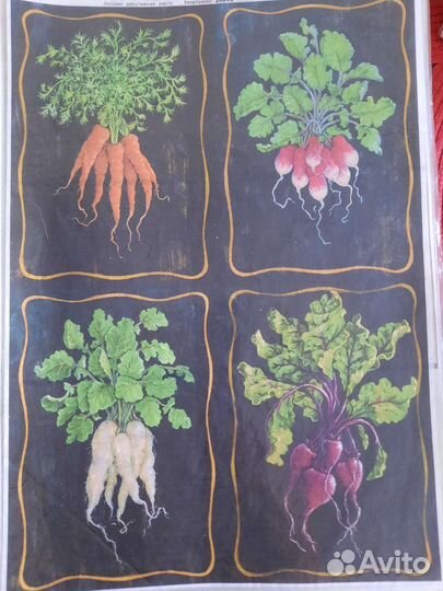 Рисовая карта