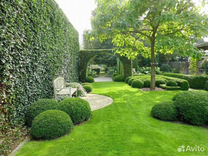 Рулонный газон.Ландшафтное проектирование под ключ