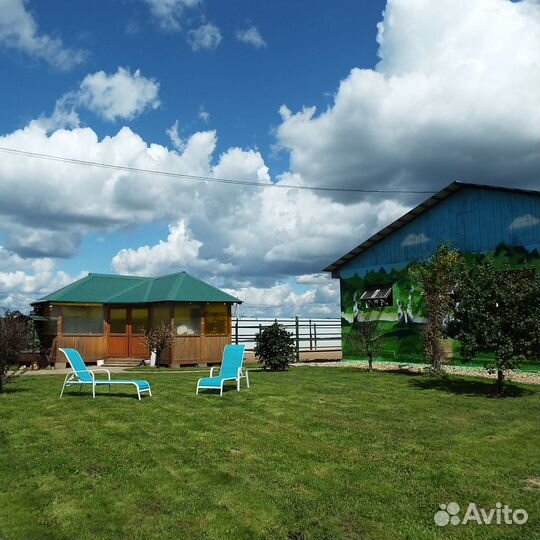 Постой лошади