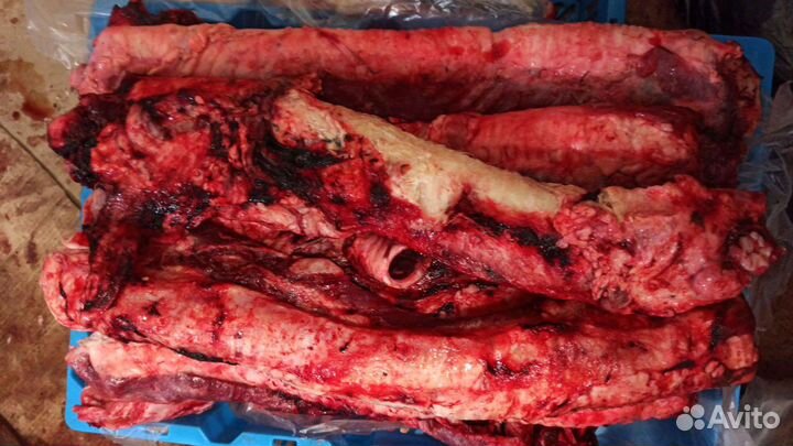 Мясо для собак