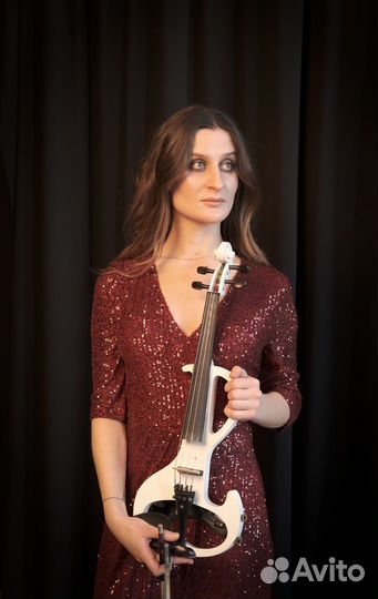 Скрипка на праздник