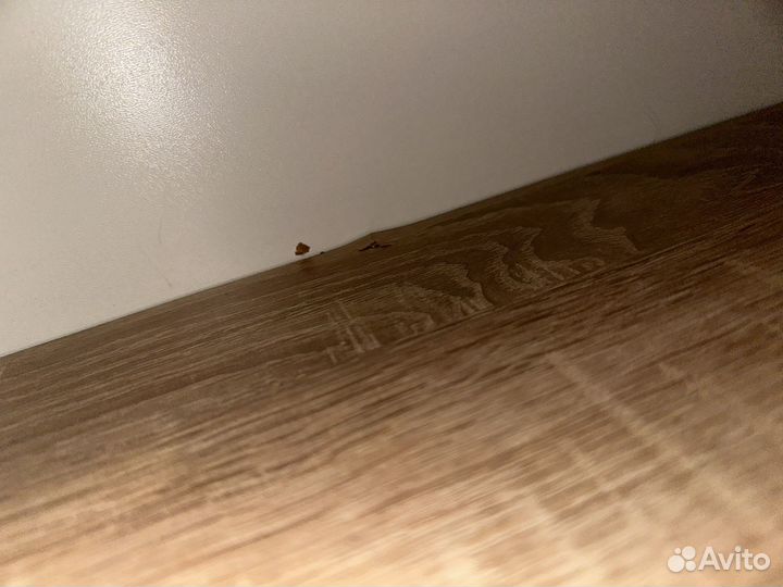 Обувница в прихожую