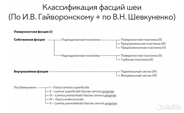 Репетитор по: Анатомии, Патфизу, Топке, Фарме