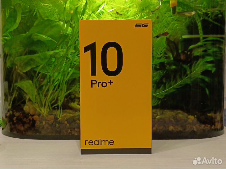 realme 10 Pro+, 12/256 ГБ