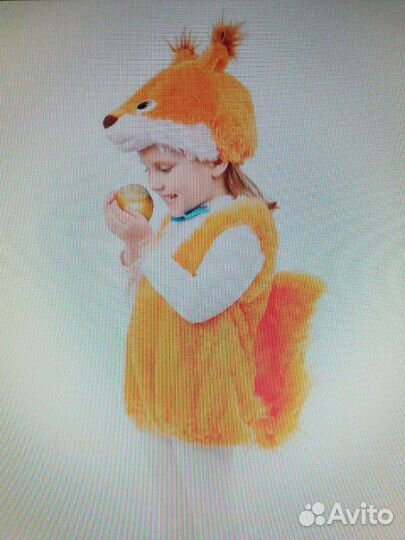 Белка на прокат