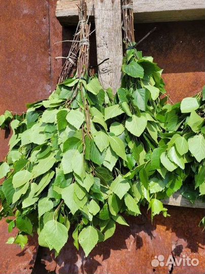 Веники для бани