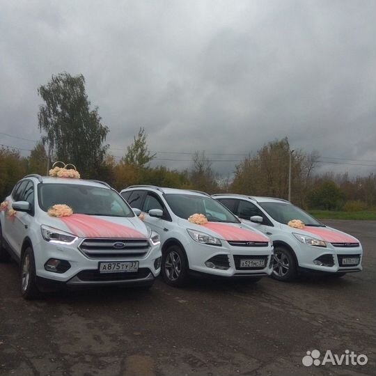 Свадебные автомобили, обслуживание свадеб, кортеж