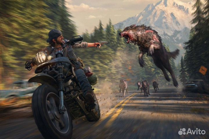 Days Gone (Steam)