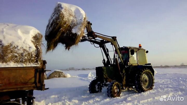 Сено в рулонах