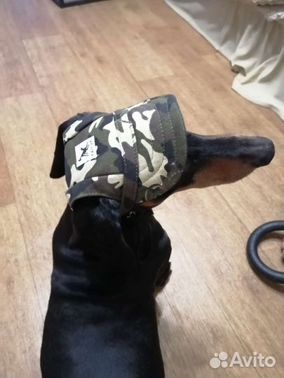 Кепка для собак