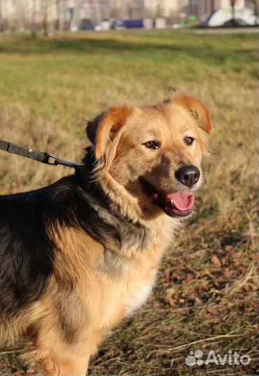 Особенная девочка ищет семью