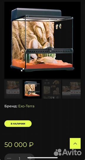 Эублефар с террариумом