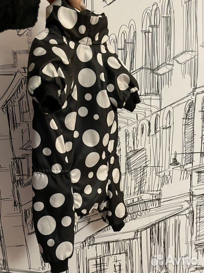 Одежда для собак мелких пород