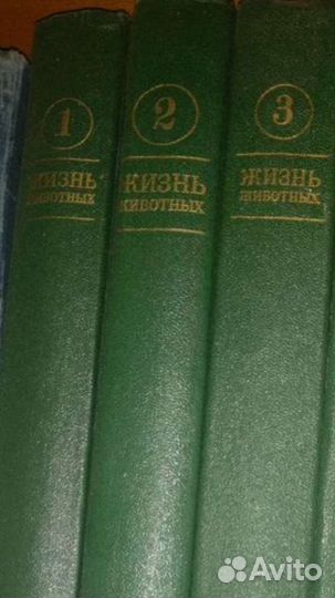 Жизнь животных энциклопедия 3 тома