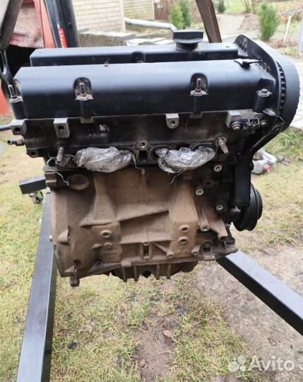 Двигатель Ford Focus II hwdb