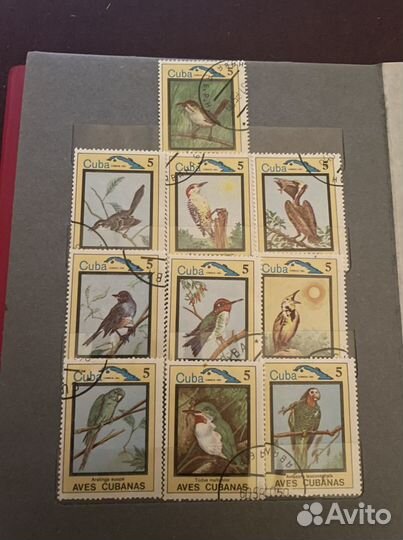 Марки СССР флора и фауна