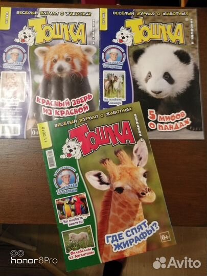 Тошка.Том и Джерри. Времена года. Little pony