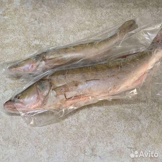 Рыба свежемороженная озёрная окунь, судак