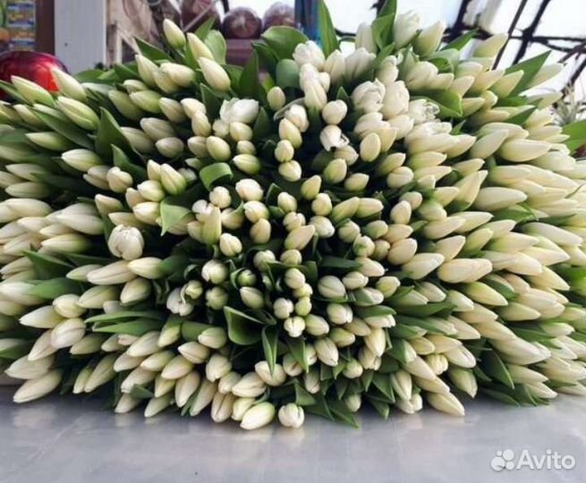 Тюльпаны к 8 марта