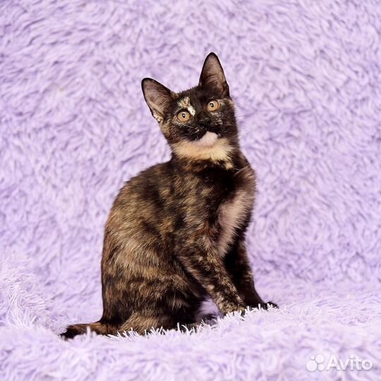 Виталина ищет маму и папу