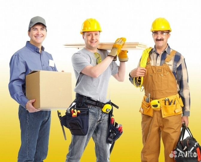 Без опыта, студенты, работа с питанием