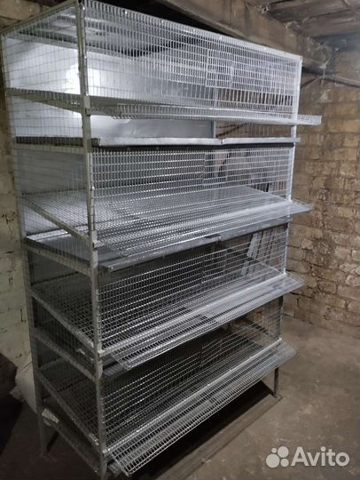 Клетки для перепелов