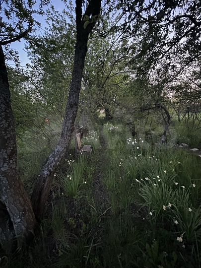 Дача 20 м² на участке 20 сот.