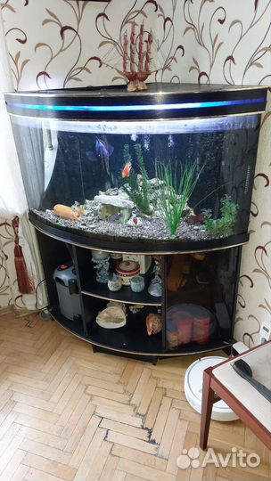 Аквариум с рыбками