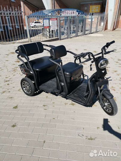 Трицикл Rutrike Экипаж