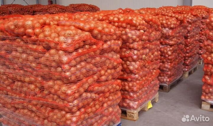 Овощи оптом