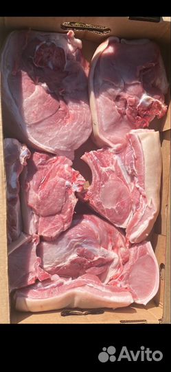 Мясо свинина с бесплатной доставкой