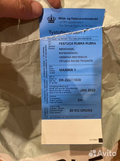 Газонная трава