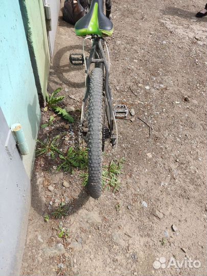 Велосипед Punky 1.0