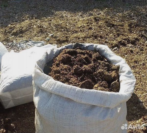 Доставим перегной чернозем навоз
